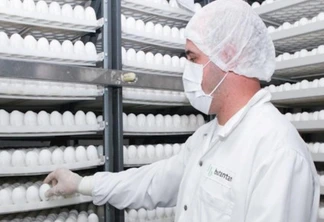 Empresa de Cascavel vai fornecer ovos para produção da Butanvac