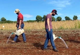 Fazenda Escola da Univel: colocando em prática o conhecimento