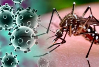 Paraná confirma em laboratório primeiro caso de paciente com covid-19 e dengue
