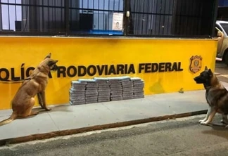 PRF apreende 68 quilos de cocaína com auxílio de cães farejadores na região metropolitana de Curitiba (PR)