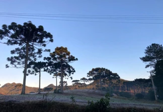 -3,3°C. Esta é a temperatura mais baixa registrada no Paraná em 2021, atingida nesta terça-feira (25) em General Carneiro, na região Sul do Estado. Outros três municípios também registraram temperaturas mínimas negativas: Guarapuava (-0,4°C), Palmas (-1,2°C) e São Mateus do Sul (-1,9°C). As informações são do Sistema de Tecnologia e Monitoramento Ambiental do Paraná (Simepar).  -  Curitiba, 25/05/2021  -  Foto: Ana Tigrinho/AEN