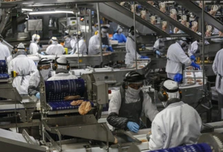 Palotina - 10-10-2020 - Cooperativa C Vale - Industria de Aves e Tilapia  - Foto : Jonathan Campos / AEN