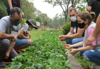 Produtores rurais recebem capacitação em Olericultura