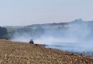 Incêndio de grandes proporções destrói palhada de milho no Bairro Brasmadeira