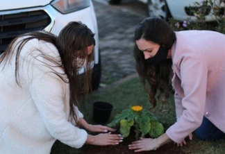 Setembro Amarelo: girassóis colorem estacionamento do HUOP no Dia de Prevenção ao Suicídio