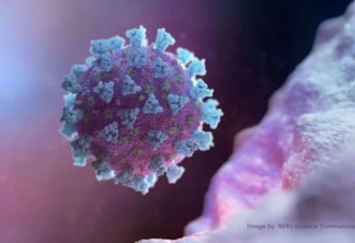 Foz registra 61 novos casos de Coronavírus em 24 horas