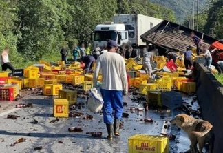 Caminhões que transportavam 12 toneladas de cerveja e 22 toneladas de carne batem na BR-376