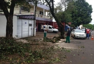 Temporal provoca estragos em dez cidades da região