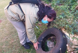 Região Sul de Cascavel registra maior índice de  infestação de ‘dengue’