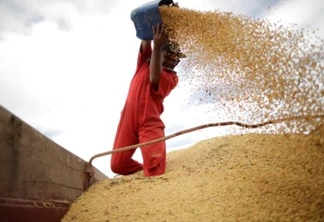 Valor Bruto da Produção Agropecuária de 2022 é estimado em R$ 1,2 trilhão