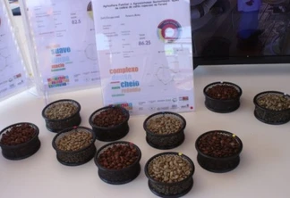 Em parceria com a Unioeste e a Seti, a Universidade Estadual de Maringá apresenta, no Show Rural Coopavel, um projeto que trabalha juntamente com os produtores de café