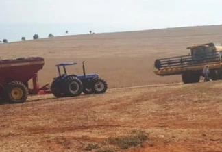 Chuvas de fevereiro ainda foram insuficientes para o setor agrícola