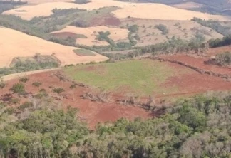 Agricultor é autuado em R$ 109,5 mil por danificar vegetação da Mata Atlântica