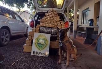 BPFRON apreende mais de 200 Kg de maconha em Santa Helena