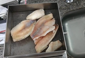 Ipem Paraná alerta consumidores sobre cuidados na compra de peixes
