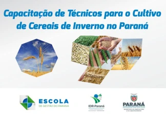 Estado promove curso de preparação para o cultivo de cereais de inverno