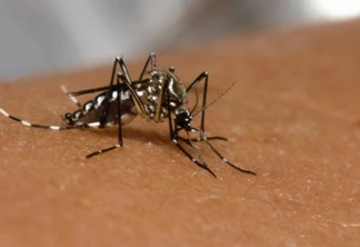 Cascavel realiza novo  mutirão para eliminar  o mosquito da dengue