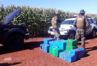 Guarda Municipal realiza grande apreensão de maconha em estrada rural em Cascavel