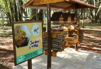 Zoológico é o primeiro espaço público a receber meliponário em Cascavel