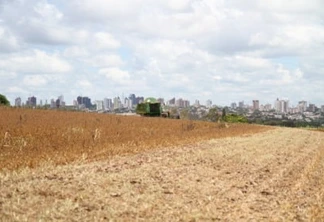 Oeste: De terra “abandonada” à  “menina dos olhos” do Paraná