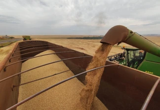 Projeção da safra de grãos 2023/24 cai para 306,4 milhões de toneladas