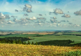 Boletim do IDR-PR analisa chuvas baixas de junho e o reflexo na produção agrícola