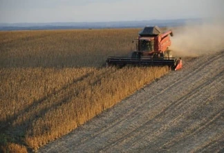 El Niño provoca ondas de frio e calor com impacto na produção paranaense