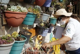 Com médio risco, Saúde reforça alerta sobre cuidados para eliminar mosquito da dengue