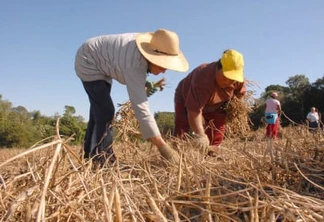 Paraná tem R$ 31,5 milhões a projetos de agricultura familiar