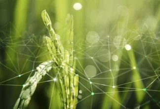 Agriculture IoT with rice field background