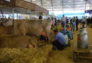 Paraná tem nove cidades na liderança da produção agropecuária nacional