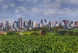 “Capital da produção”: Cascavel é uma cidade com “DNA 100% agro”