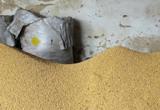 SOJA: Comissão técnica de grãos da FAEP reforça posição contrária à redução de umidade