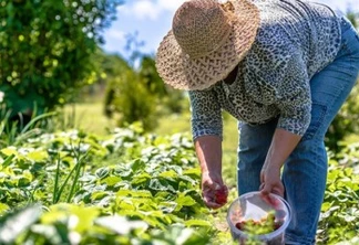 Cascavel sedia evento de tecnologia para agricultura familiar e agroindústrias