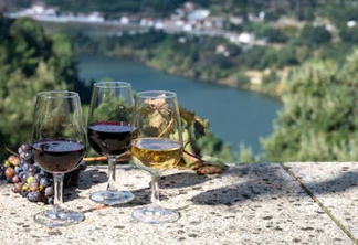 Explorando os sabores de Portugal: rotas de vinho revelam tesouros enológicos