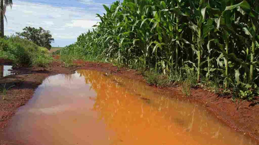 Quebra foi intensificada pela compactação do solo