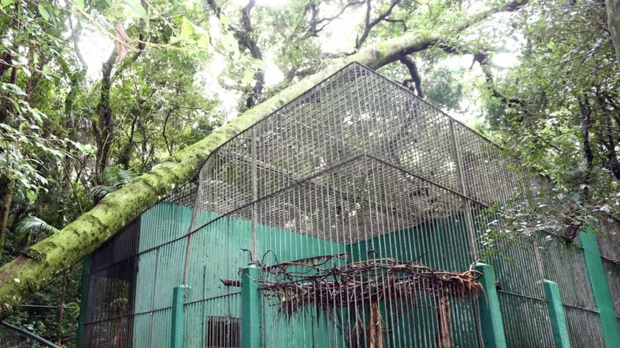 Ainda em fase de limpeza, Zoo de Cascavel reabre terça-feira