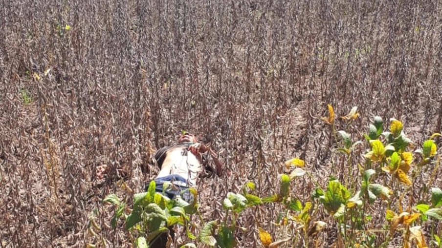 Identificado corpo encontrado em Ibema