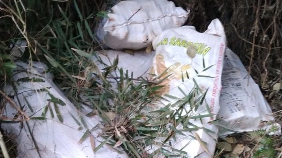 Denarc apreende 211kg de maconha na área rural de Cascavel