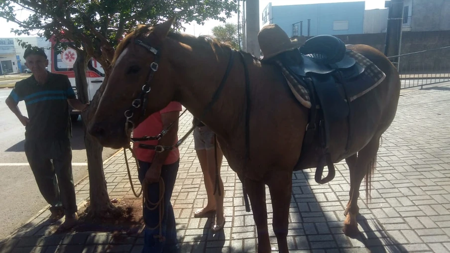 Homem tem ferimentos graves ao sofrer queda de cavalo em Toledo