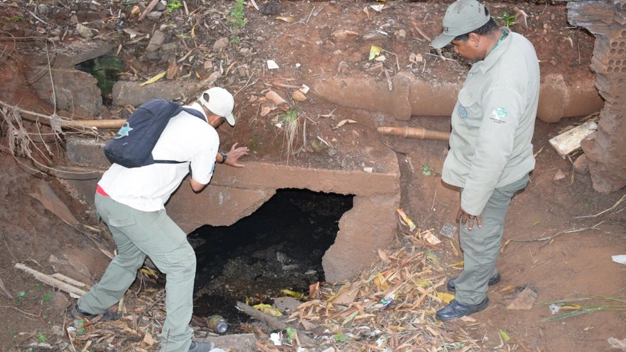 Foz do Iguaçu intensifica limpeza em terrenos baldios