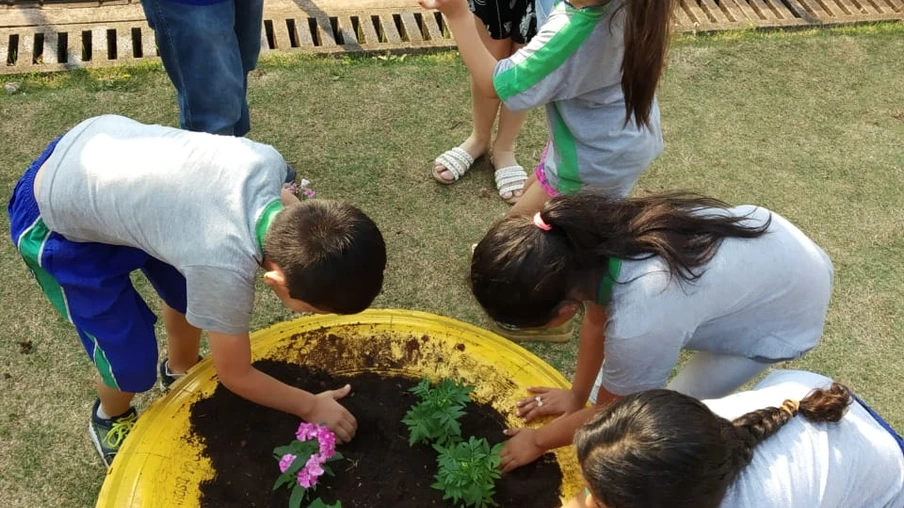 Alunos da rede municipal participam do plantio de árvores e de flores