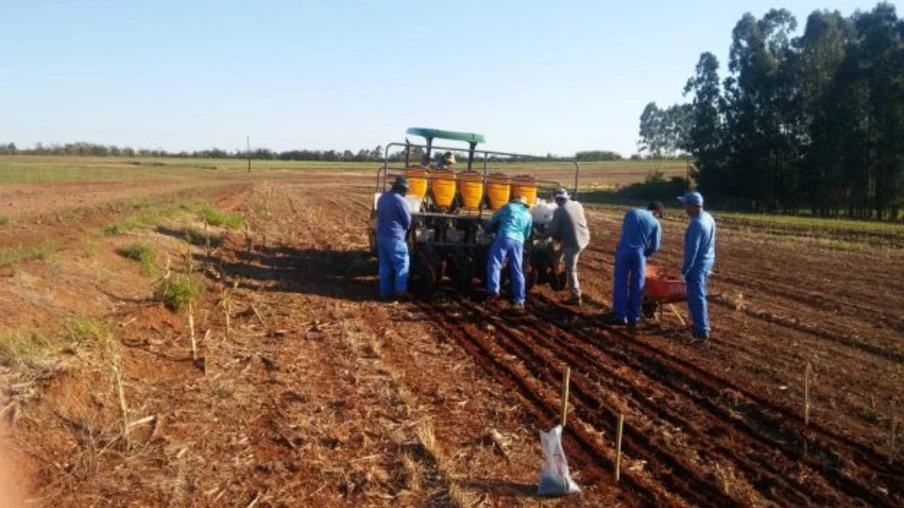 Show Rural já cultivou áreas para testes de produtividade