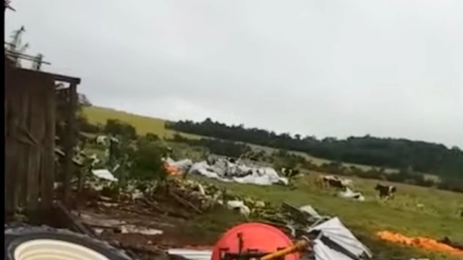 Temporal destrói propriedade e mata animais em Serranópolis