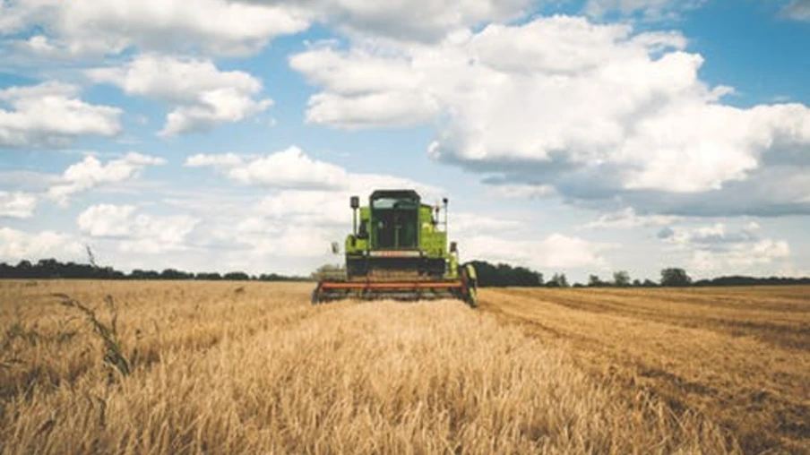 Paraná deverá produzir 41,2 milhões de toneladas de grãos