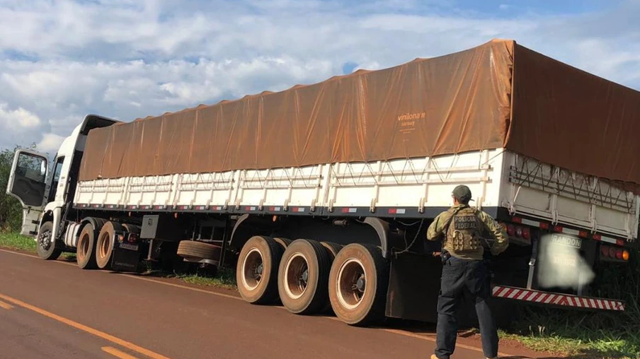 Hórus apreende em junho mais que o total de drogas recolhido em 1 ano