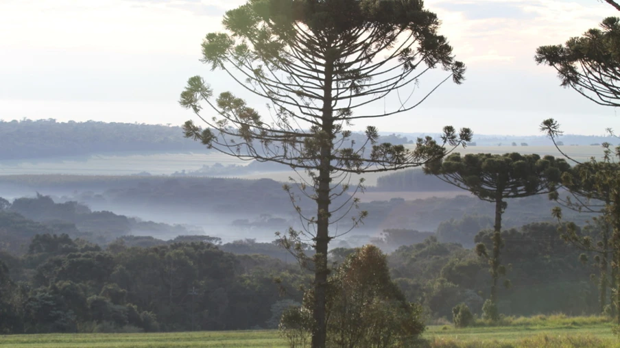 Massa de ar frio derruba mínimas no Paraná