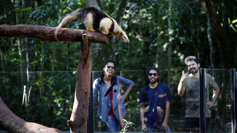 Atrativo volta a receber turistas após três meses fechado

FOTO: SkyTakes/Árvores Filmes