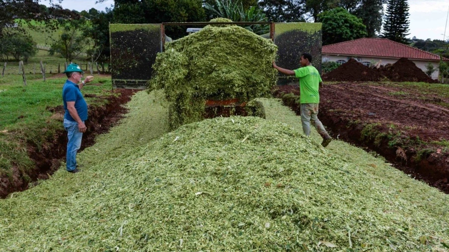 Produtores rurais de Santa Terezinha recebem auxílio na produção de silagem