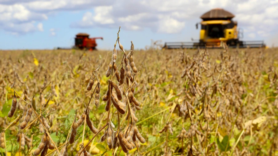 Líderes falam dos desafios ao agronegócio e cooperativismo